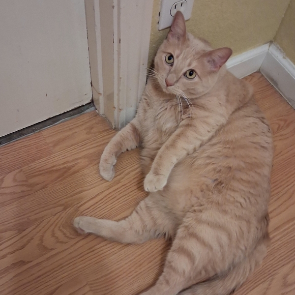 ππAutum πͺΎπ₯ - Picture 6 of 8